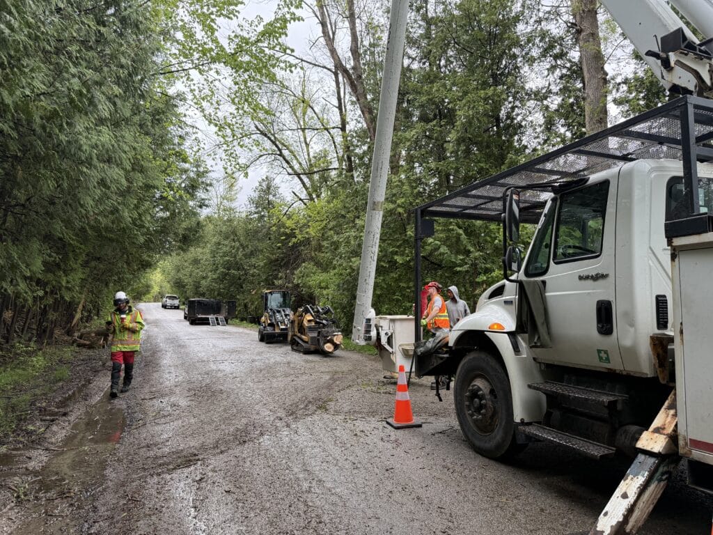 Tree Care Simcoe County, Ottawa and surrounding areas ​