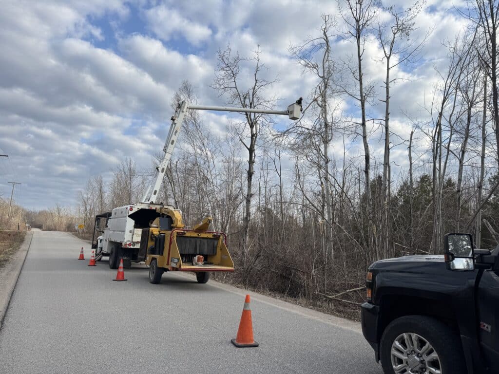 Tree Assessments Simcoe County, Ottawa and surrounding areas ​