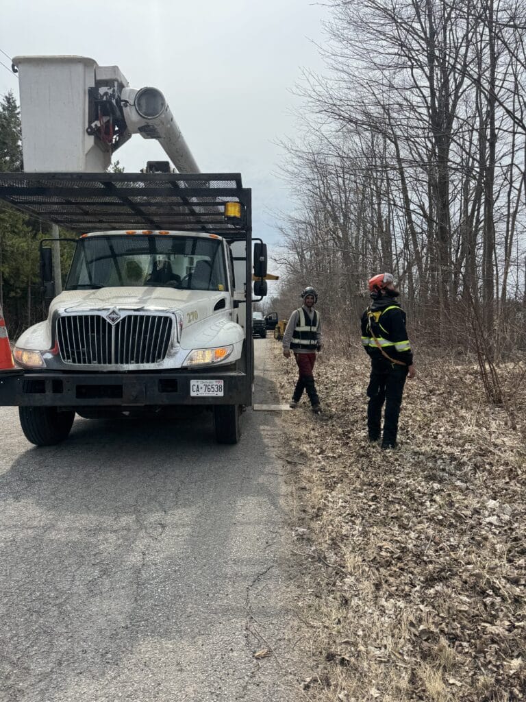 Land Clearing in Simcoe County, Ottawa and Surrounding Areas​